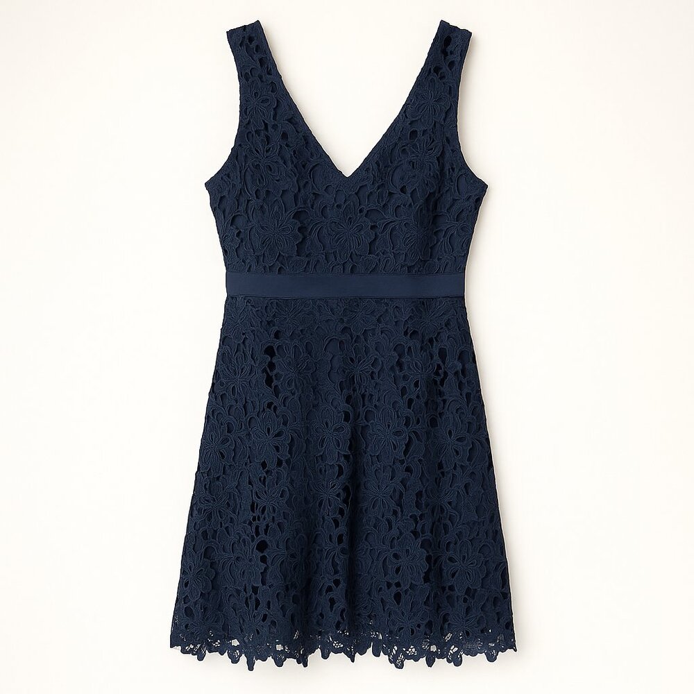 Banana Republic Navy Blue Floral Lace Mini Dress